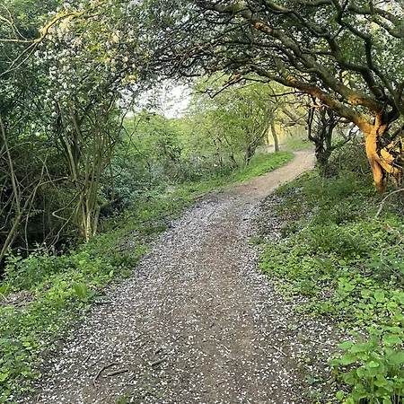 Avenue Victoria - Stunning Seaview And Castle View - Near Amenities And סקארבורו