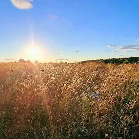 펜션 Avenue Victoria - Stunning Seaview And Castle View - Near Amenities And 스카버러