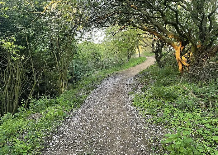 Avenue Victoria - Stunning Seaview And Castle View - Near Amenities And Скарборо